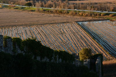 Scenic view of field