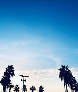 Low angle view of coconut palm trees against blue sky