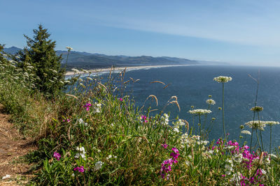Scenic view of sea against sky