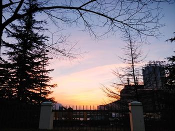 Low angle view of silhouette trees against sky during sunset