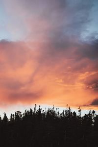 Silhouette trees in forest against sky during sunset