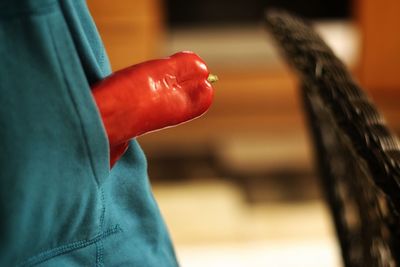 Close-up of person holding red chili peppers