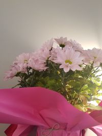 Close-up of pink flowers in vase