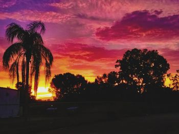 Silhouette trees against sky during sunset