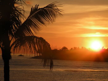 Silhouette of palm trees on beach at sunset