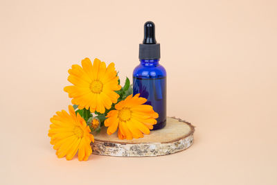 Close-up of yellow flower on glass table