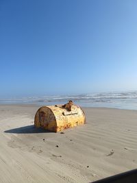 Scenic view of beach against clear sky