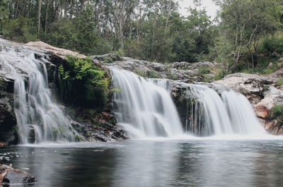 Scenic view of waterfall in forest