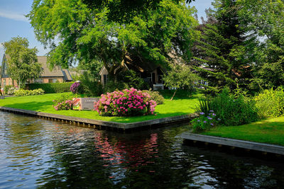 View of plants by swimming pool in park