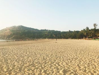 Scenic view of beach against clear sky