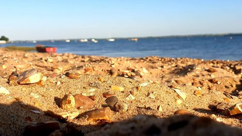Close-up of rocks on beach against sky