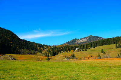 Scenic view of field against blue sky