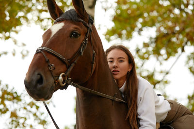 Close-up of horse standing outdoors