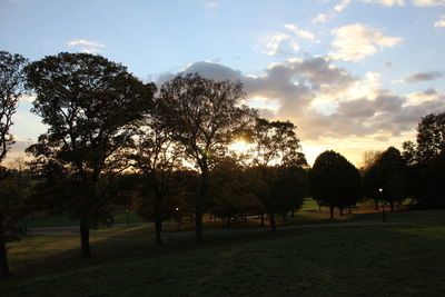 Trees against sky during sunset