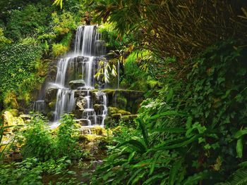 Waterfall in forest