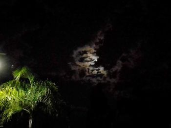 Low angle view of illuminated trees against sky at night