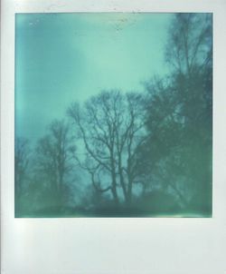 Bare trees against sky