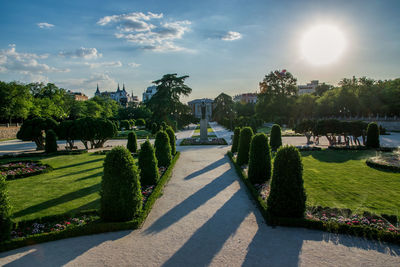 Plants and trees in formal garden against sky during sunset