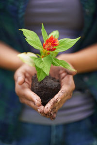 Midsection of man holding plant