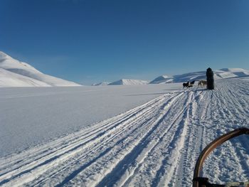 Rear view of person on snowcapped mountain against sky