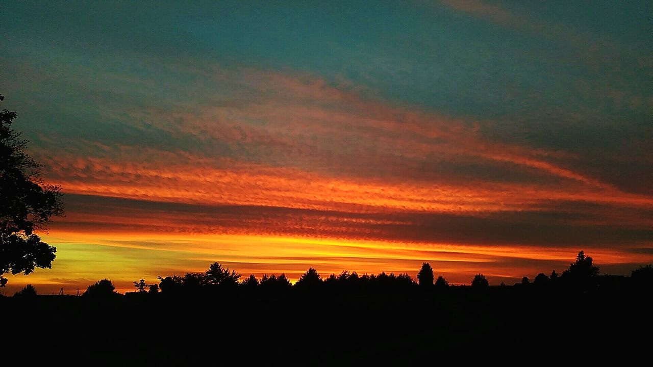 sunset, silhouette, tree, beauty in nature, nature, sky, scenics, landscape, tranquility, tranquil scene, no people, outdoors