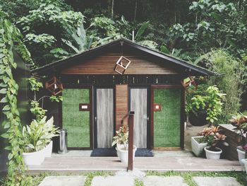 Entrance of house amidst plants and trees in yard