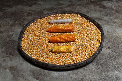 High angle view of corn and kernels in plate on floor