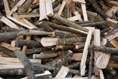 Full frame shot of logs in forest