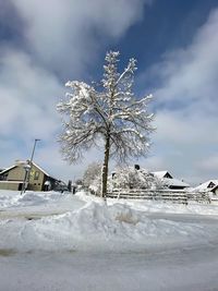 Snow covered plants on field against sky