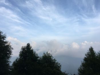 Low angle view of silhouette trees against sky