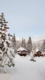 Snow covered field against sky