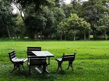 Empty bench in park