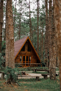 Wooden house by trees in forest