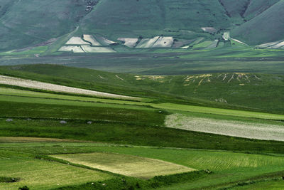 Scenic view of landscape