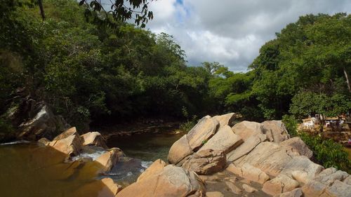 Rocks by trees in forest against sky