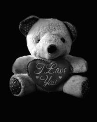 Close-up of stuffed toy against black background