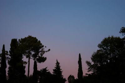 Low angle view of silhouette trees against clear sky