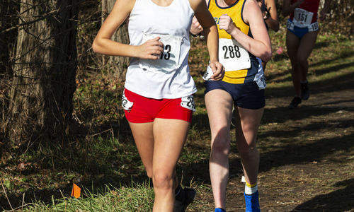 Rear view of people running