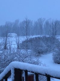 Snow covered bare trees against sky