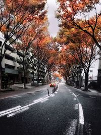 Road amidst trees during autumn