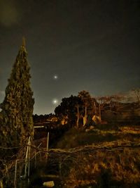 Trees on field against sky at night