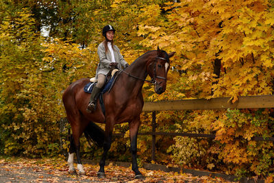 Rear view of man riding horse on field