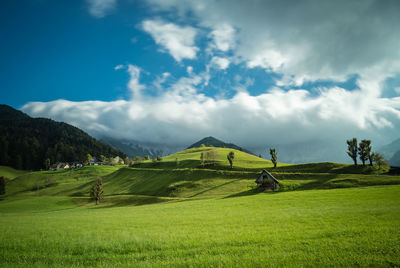 Scenic view of field against sky