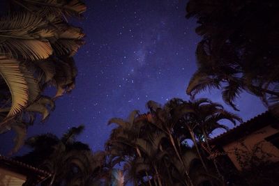 Low angle view of illuminated tree against sky