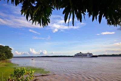 On the banks of the amazon river