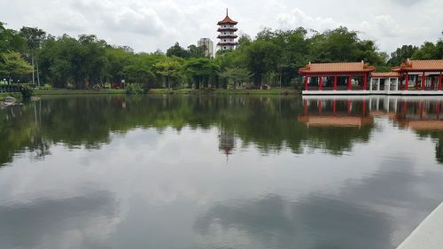 Reflection of trees in water