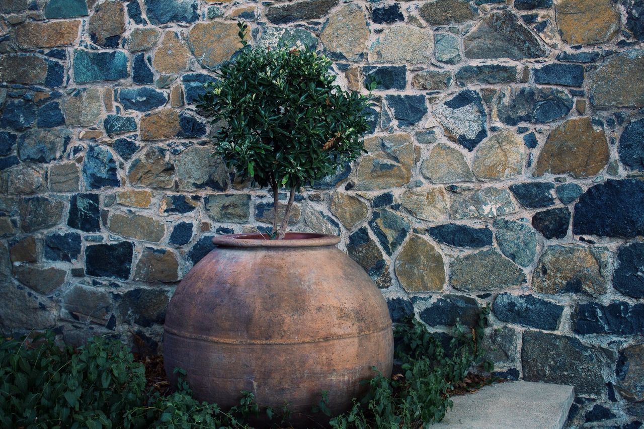 brick wall, built structure, architecture, plant, building exterior, stone wall, wall - building feature, growth, old, potted plant, wall, house, cobblestone, day, outdoors, abandoned, stone - object, steps, stone material, no people