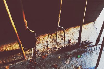Reflection of trees in water