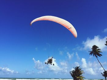 Low angle view of parachute