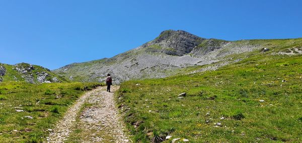 Rear view of man walking on mountain against clear sky